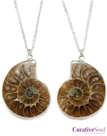 Ammonite Pair Necklaces - Click Image to Close