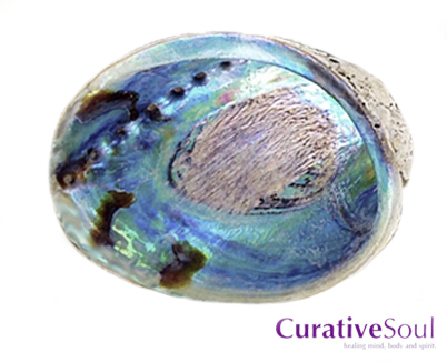 Abalone Shell - Click Image to Close